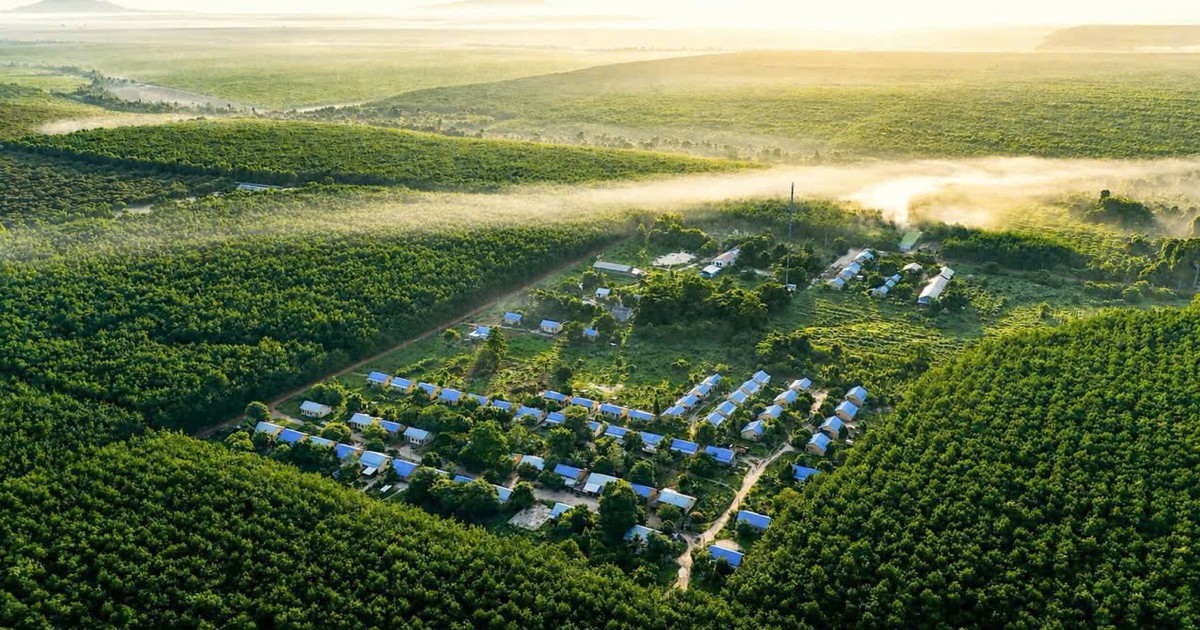 VRG bước vào chu kỳ tăng trưởng mới bằng đổi mới và phát triển xanh