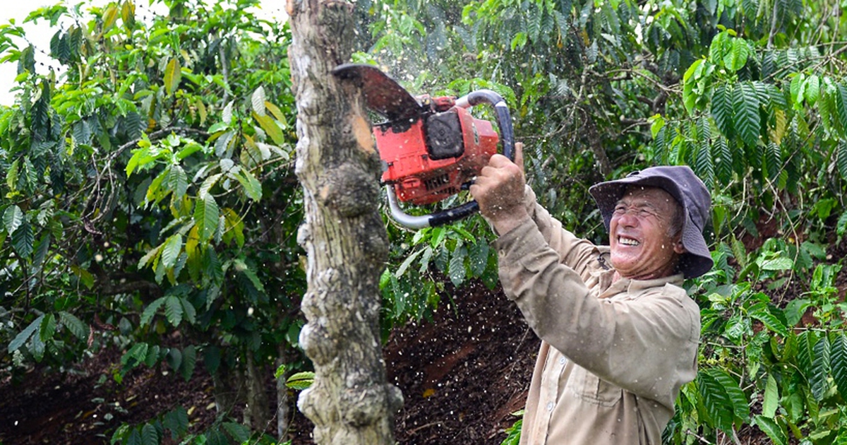 Nhà đầu tư cam kết đẩy nhanh tiến độ cao tốc Bảo Lộc - Liên Khương