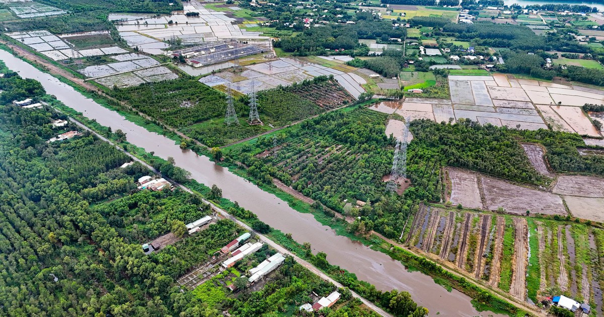 Tin tức sáng 25-6: Bảy khu nông nghiệp công nghệ cao của TP.HCM nằm ở đâu?