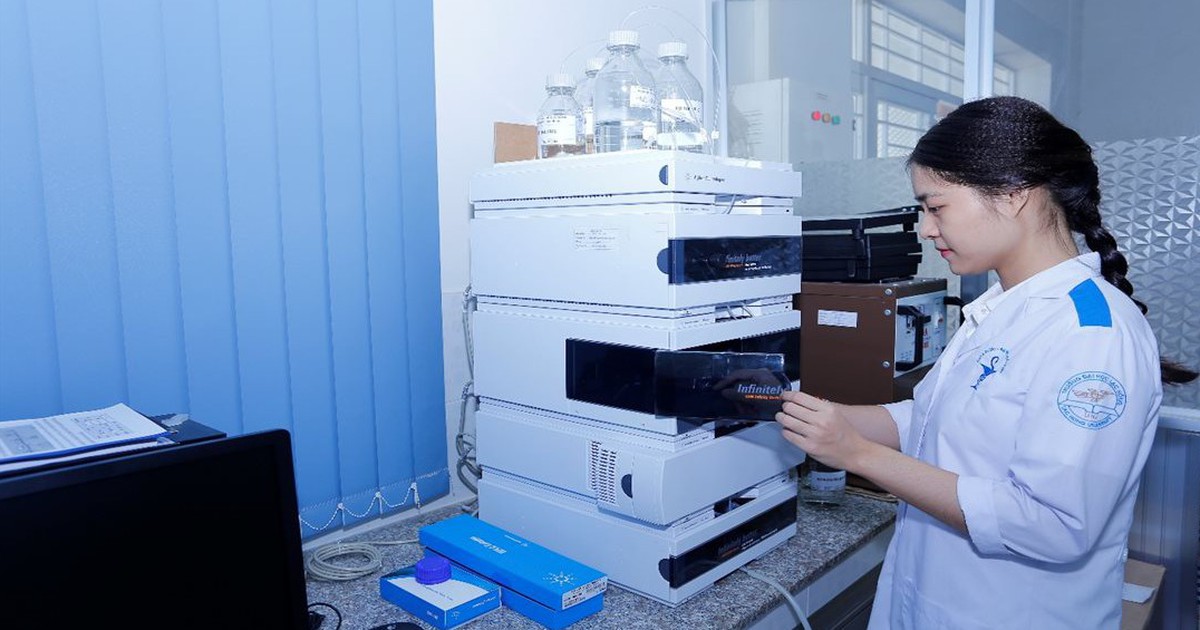 Trường đại học Lạc Hồng thăng 500 bậc trên bảng xếp hạng tác động bền vững thế giới