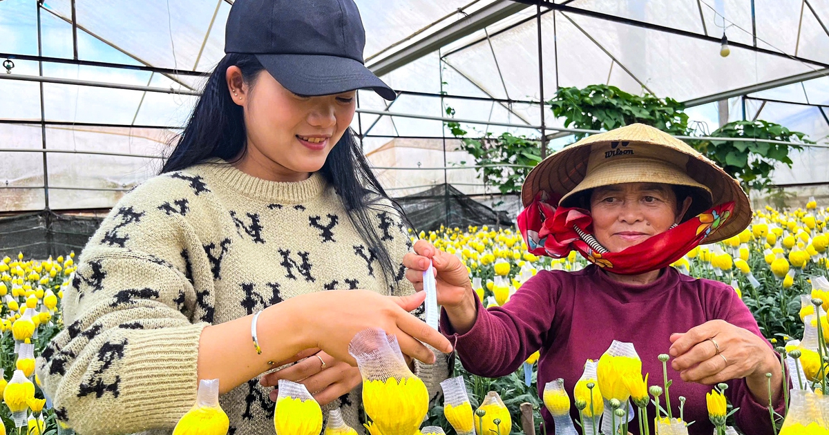 Nông nghiệp chữa lành
