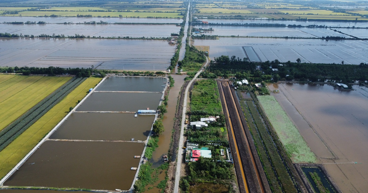 Làm đường kết nối cao tốc vào vùng Đồng Tháp Mười