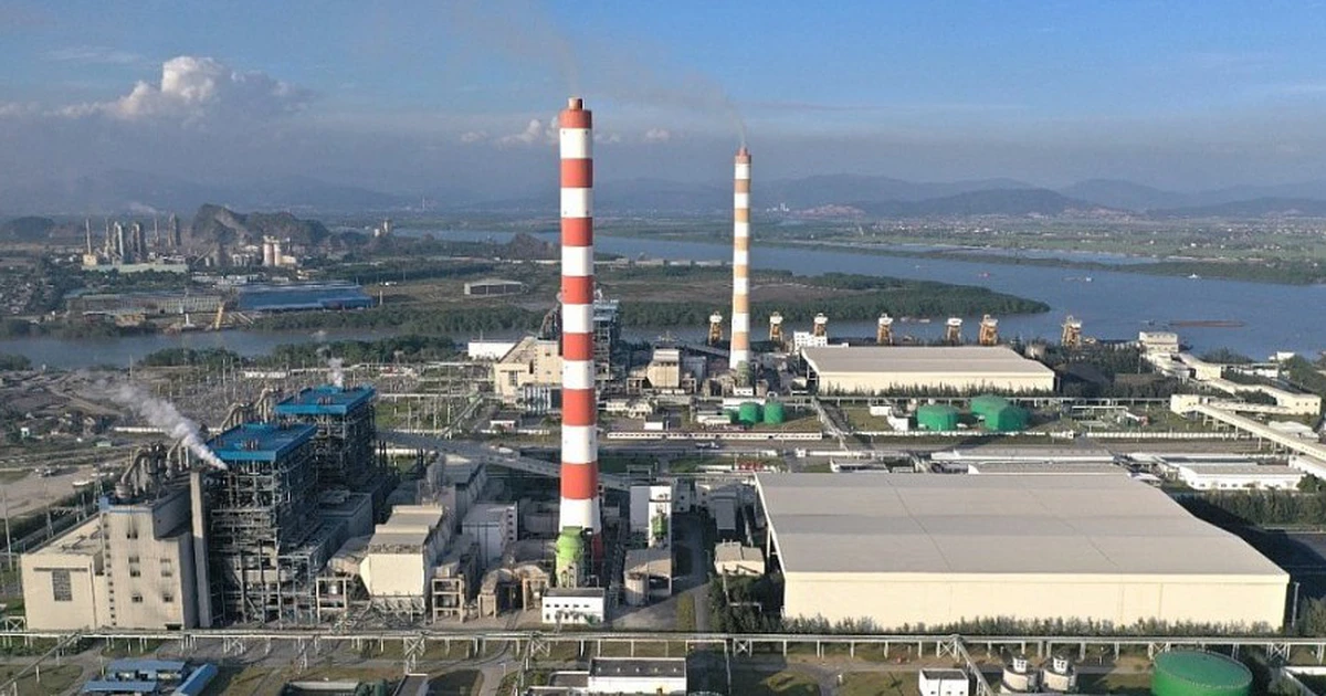 Nhiệt điện Hải Phòng có động thái mới liên quan đến Chủ tịch hội đồng quản trị