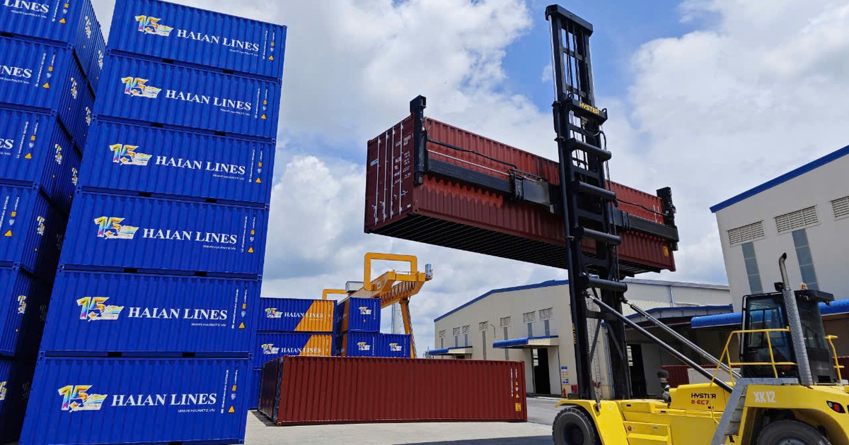 Muốn giảm chi phí logistics, doanh nghiệp xuất khẩu phải bớt tự mọi thứ