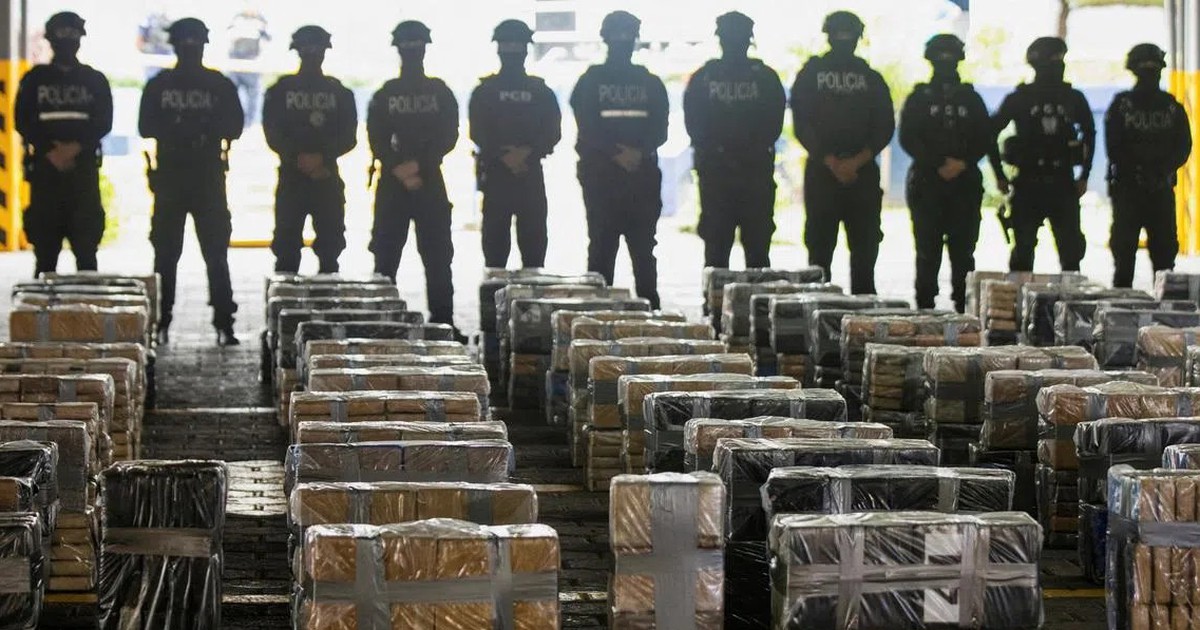 Liên hợp quốc: Nguồn cung heroin giảm, sản lượng ma túy toàn cầu vẫn tăng