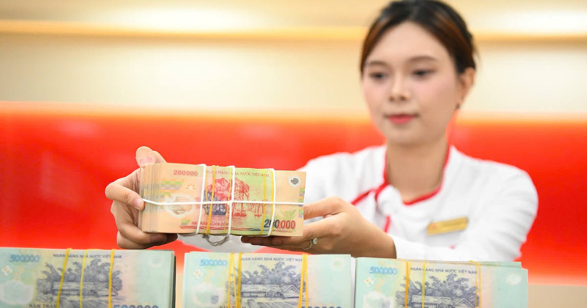 Chính phủ: Điều hành tiền gửi của Kho bạc Nhà nước để hỗ trợ vốn ngắn hạn cho nền kinh tế