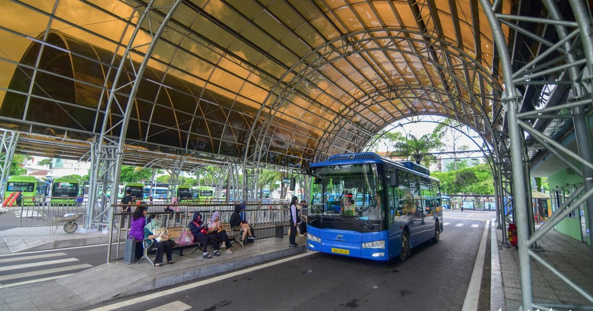 Ho Chi Minh City rolls out free bus fares, service upgrades to boost ...