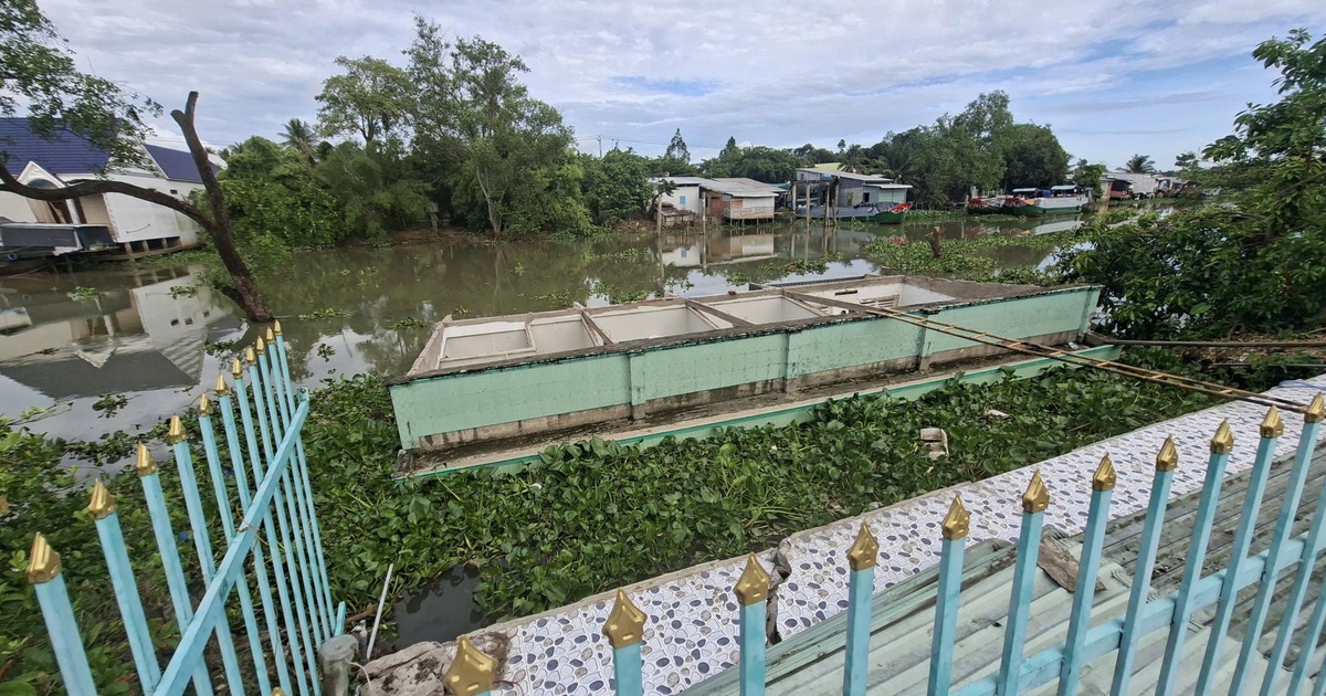 Sạt lở bờ sông liên tiếp ở Đồng Tháp, giao thông chia cắt, một số nhà bị chìm