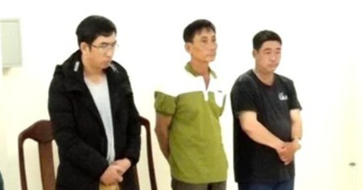 Phạt tù chuyên viên kỹ thuật điện lực để xảy ra điện giật chết người