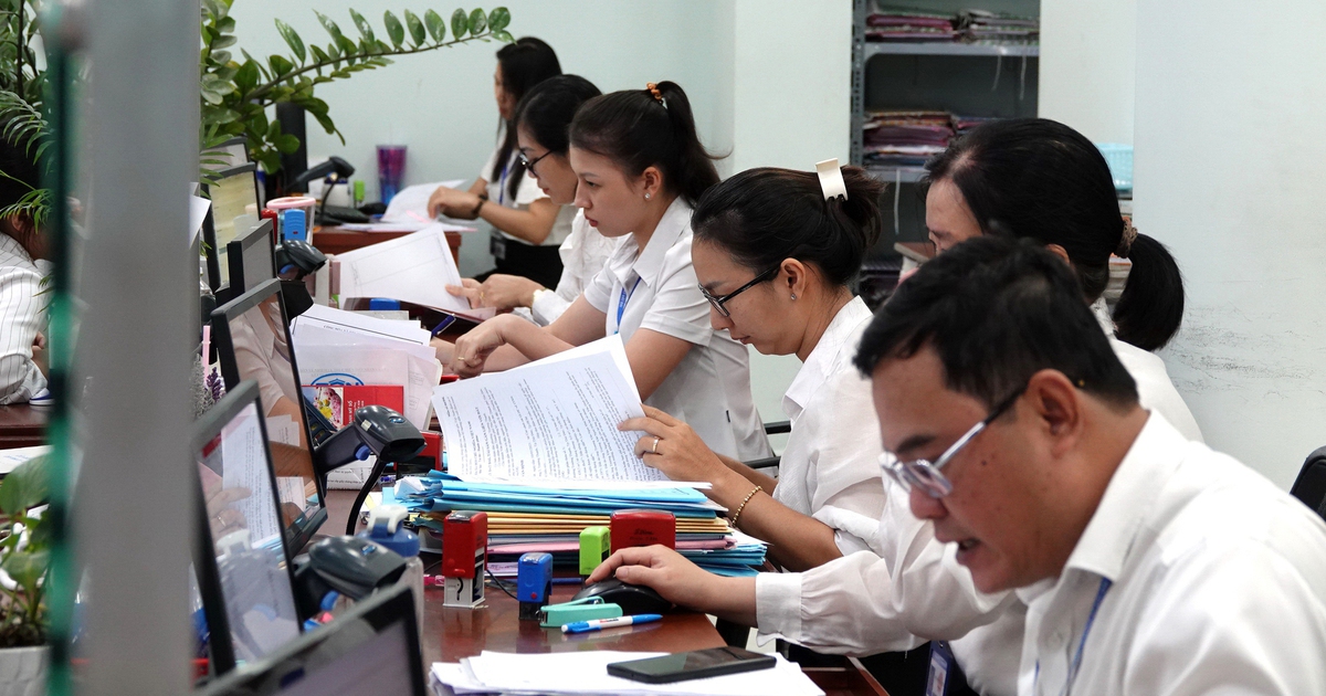 Chính phủ quy định mới về xác định vị trí việc làm, chế độ tiền lương viên chức