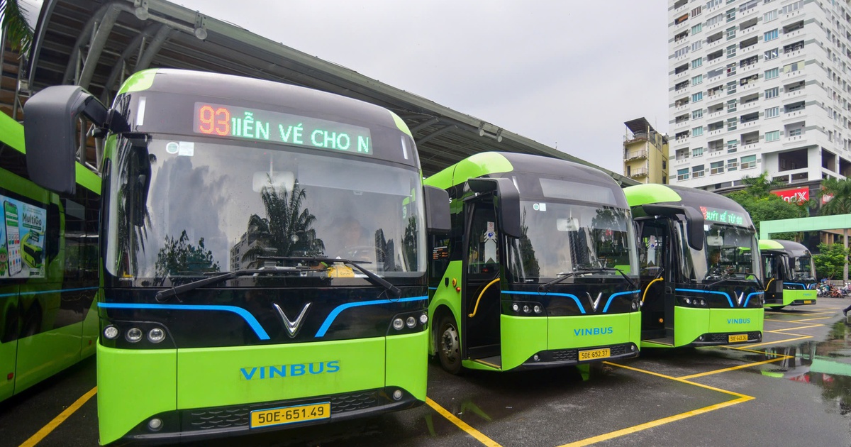 TP.HCM sẵn sàng cho chương trình miễn phí xe buýt ngày 1-7