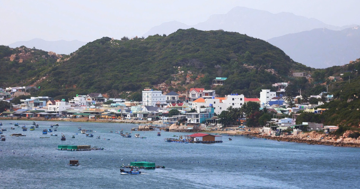 tuoitre.vn