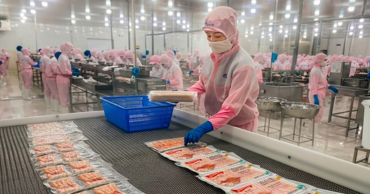 Giá tôm thẻ nguyên liệu ở miền Tây tiếp tục giảm sâu