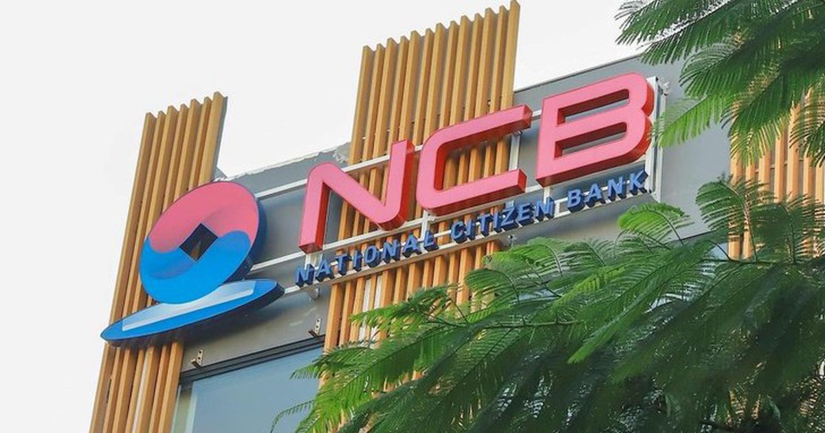 Lộ diện 22 nhà đầu tư nắm hơn 75% vốn điều lệ NCB