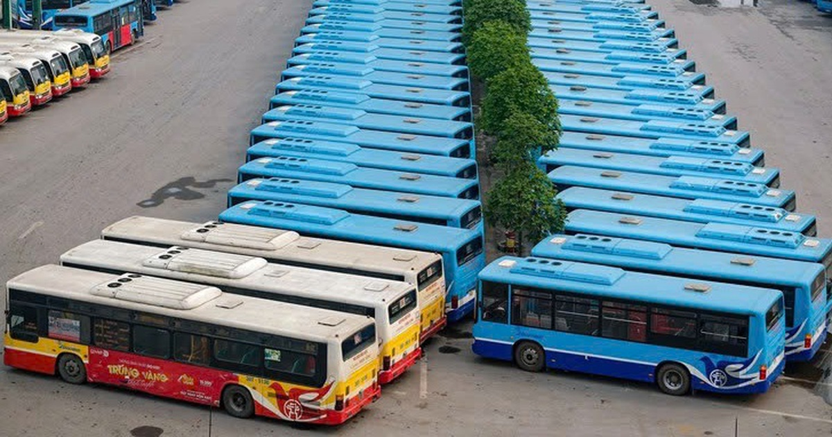 Hà Nội lên tiếng vụ nhân viên xe buýt đòi đuổi khách xuống xe dù lỗi thuộc về nhà xe