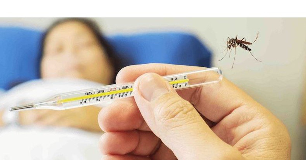 Chuyên gia cảnh báo về gánh nặng khó lường do sốt xuất huyết Dengue tại Đồng Nai