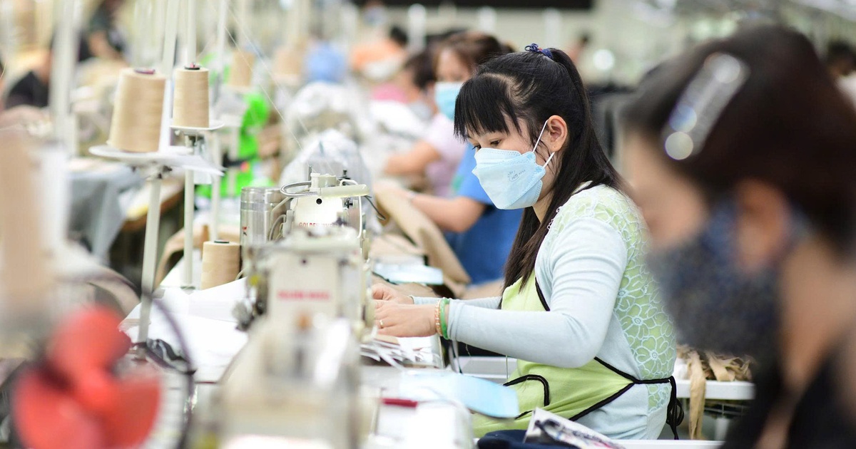 Mỹ bán bông nhiều nhất cho Việt Nam, Việt Nam xuất may mặc nhiều nhất sang Mỹ