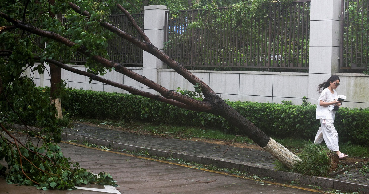 Bão Ba Vì suy yếu thành bão nhiệt đới sau khi đổ bộ vào Trung Quốc