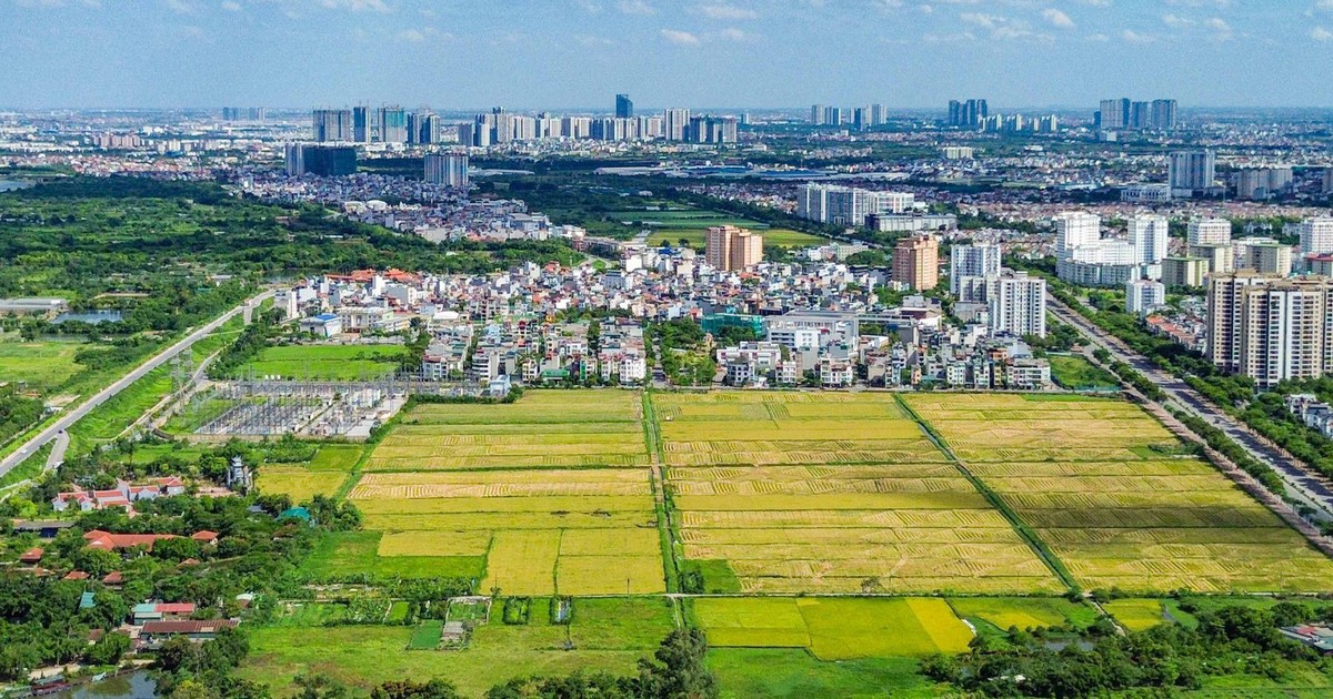 Bộ Nội vụ đề xuất chưa xem xét, miễn kỷ luật với một số vi phạm đất đai cũ