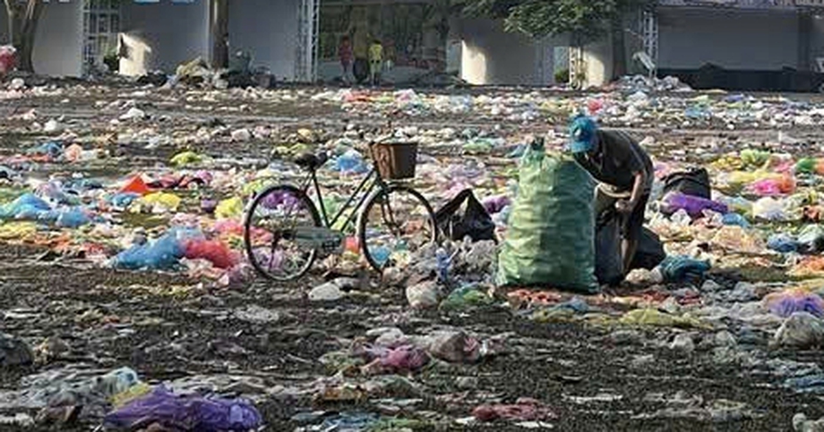 'Những thành phố mơ màng' bị gọi là thảm họa, ban tổ chức xin lỗi, nhận trách nhiệm