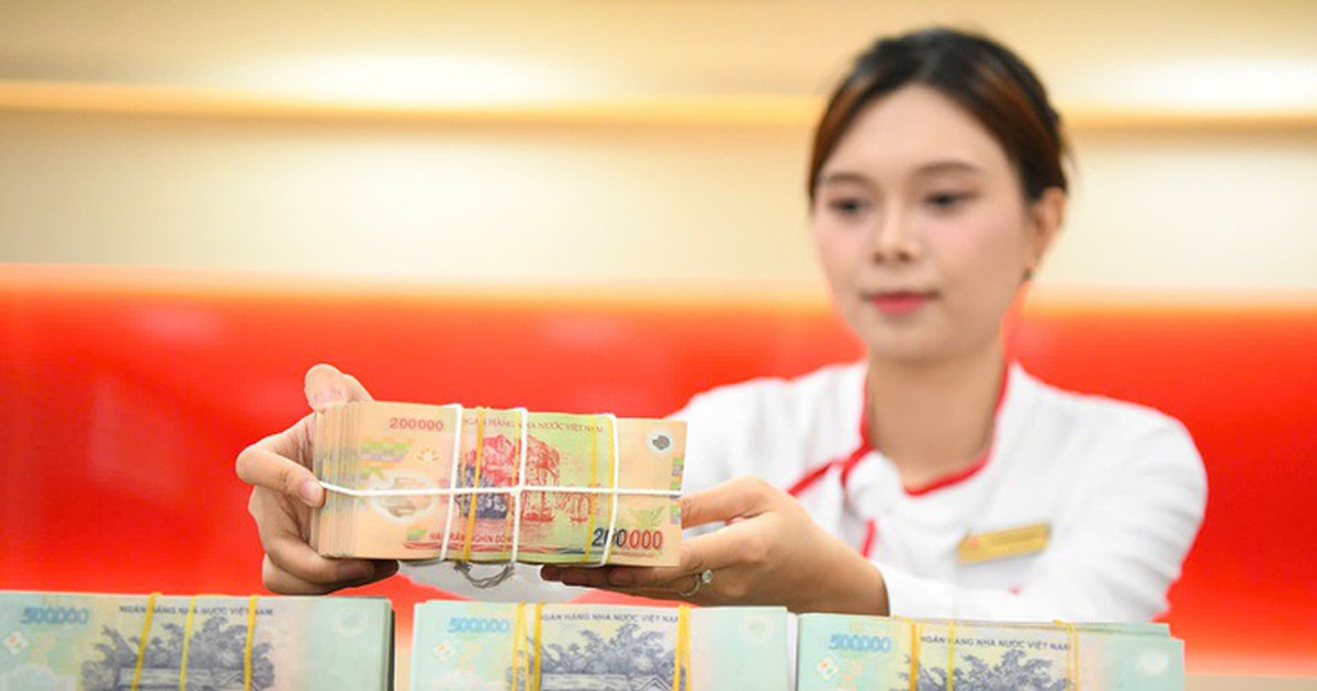 Cổ phiếu 'giá trà đá', doanh nghiệp ở Thái Nguyên trả cổ tức gấp gần 3 lần thị giá