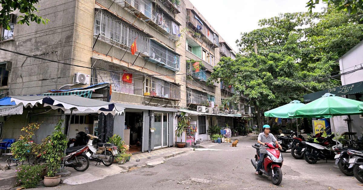 UBND TP.HCM 'thúc' hoàn thành kiểm định chung cư cũ cuối tháng 7-2026