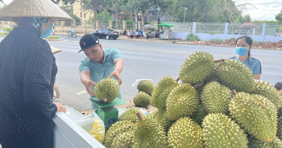 Cần Thơ 'thiết lập cơ chế phản ứng nhanh' để tiêu thụ nông sản