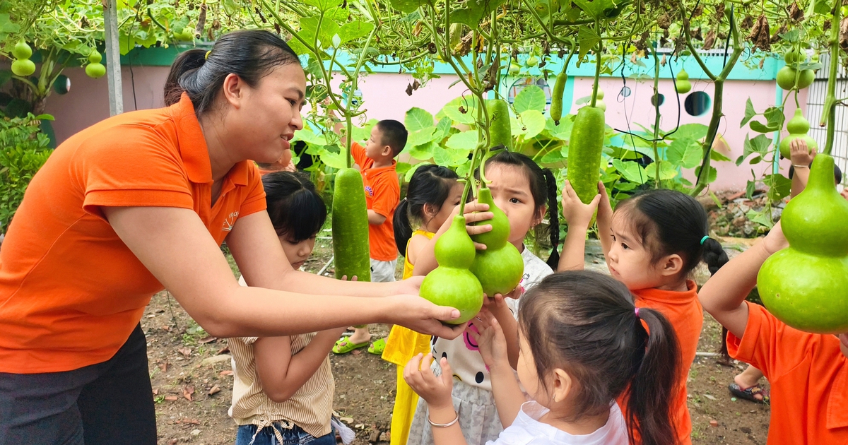 Giàn bầu hồ lô hơn 100 trái phủ kín sân trường mầm non ở TP.HCM
