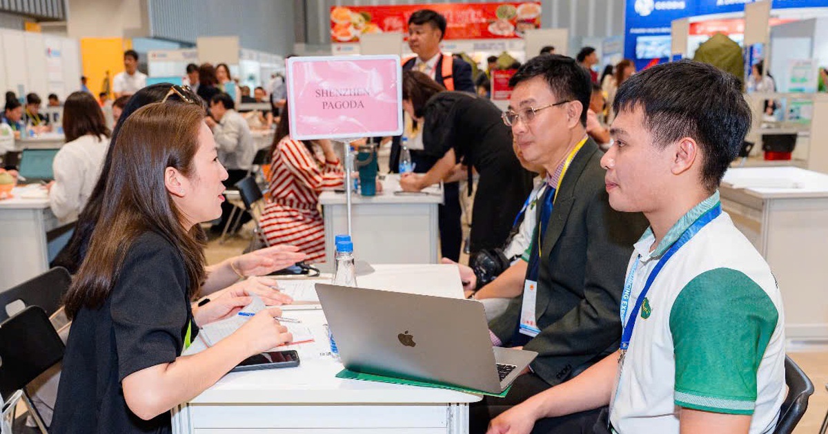 Nhà bán lẻ Mỹ phục vụ 280 triệu lượt khách mỗi tuần tìm kiếm nguồn hàng từ Việt Nam