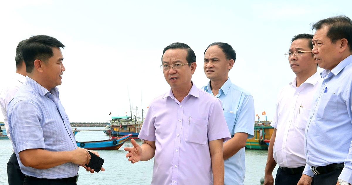 Lãnh đạo TP.HCM kiểm tra thực địa công tác quản lý rừng, phòng tránh thiên tai khu vực Bà Rịa - Vũng Tàu
