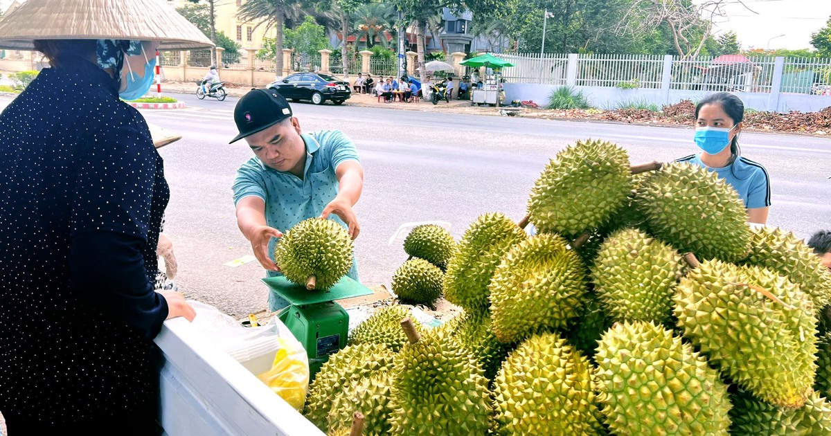 Hải quan 'lệnh' thông quan ngay sầu riêng, cấm gây khó doanh nghiệp
