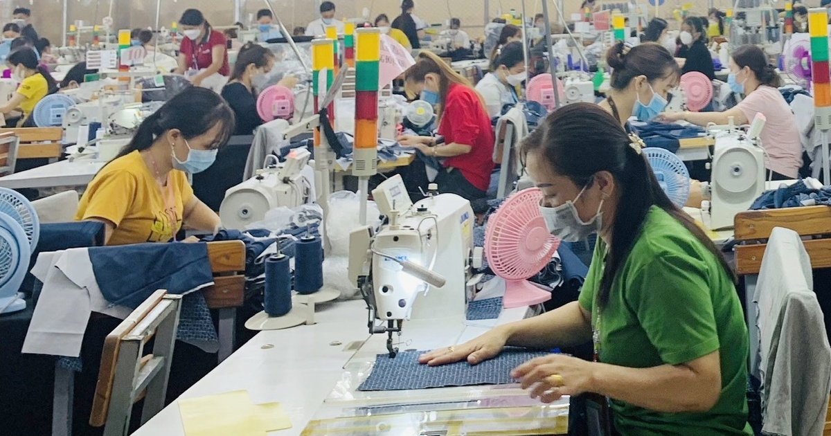 Vì sao có tình trạng ‘thừa việc, thiếu người’ ở Cần Thơ?