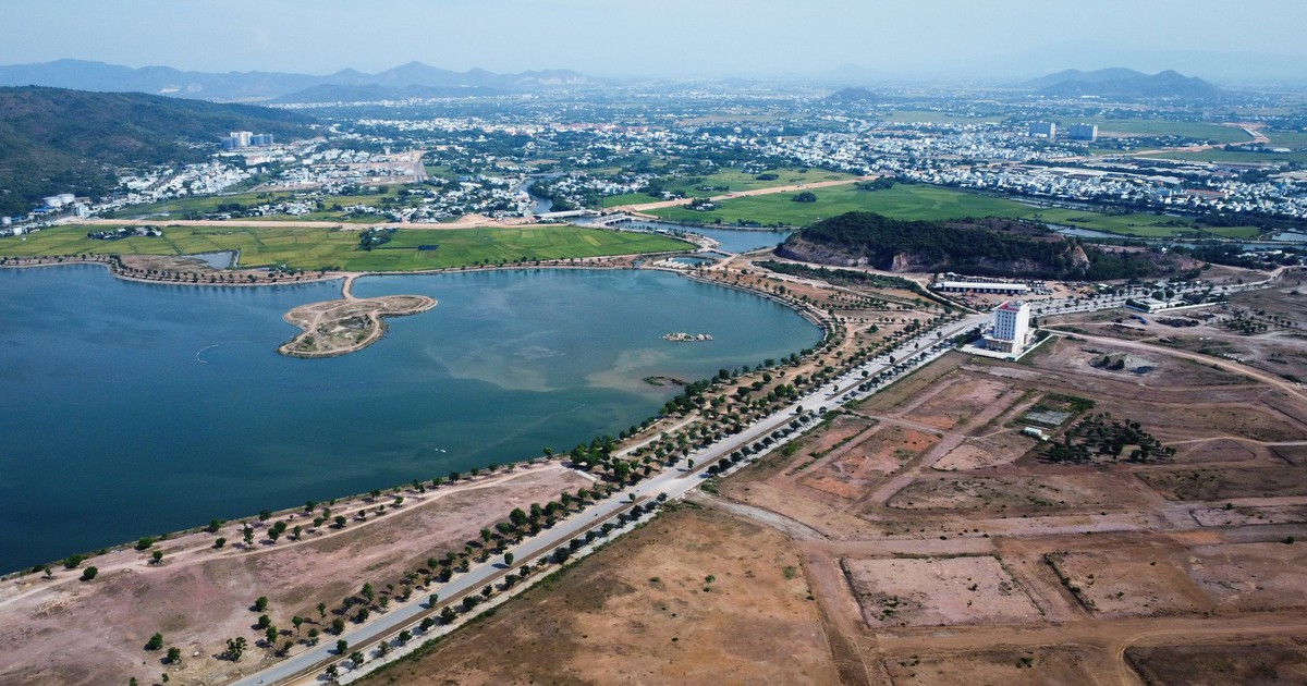 Chuyển mục đích 12,4ha rừng phòng hộ ở Quy Nhơn làm dự án khu đô thị hồ Phú Hòa