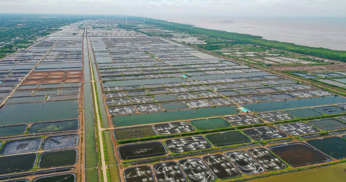 6 tháng để tăng tốc