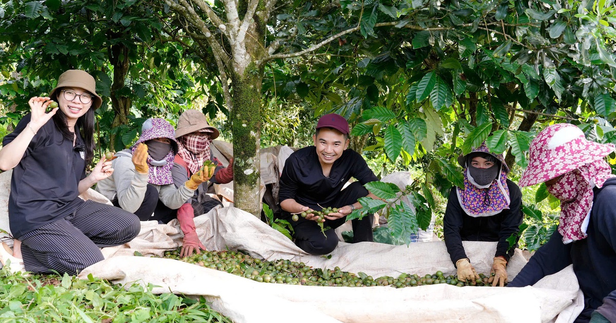 Đất nông nghiệp 30 triệu đồng/ha/năm vẫn khó hút nhà đầu tư