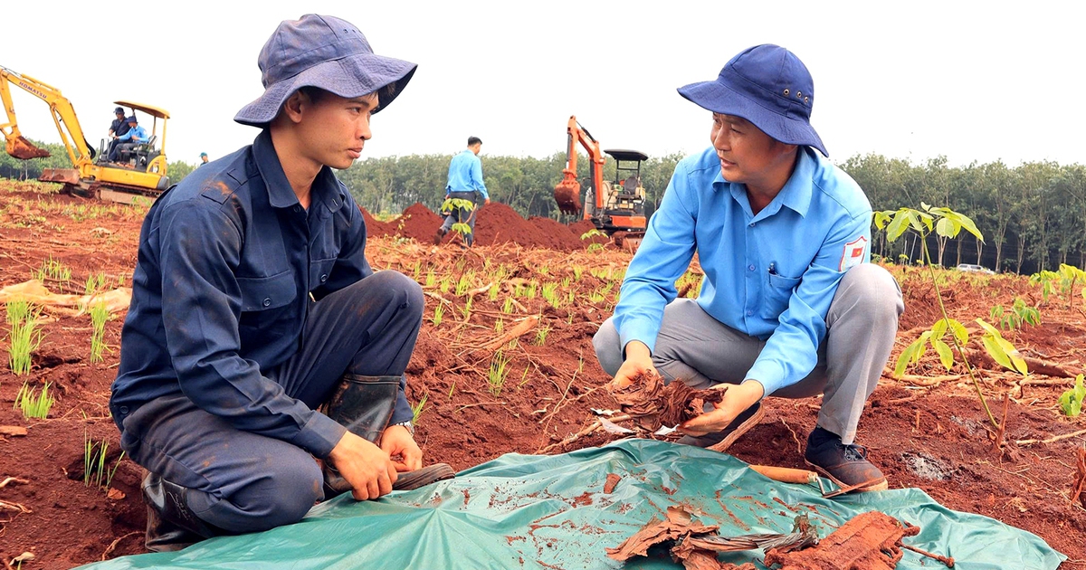 Tìm thấy nhiều di vật nghi của liệt sĩ tại hố chôn tập thể ở Đồng Nai, có cây bút khắc tên 'Tiến Quy'