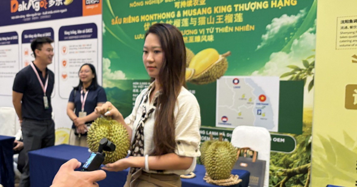 Hàng triệu đơn hàng sầu riêng Việt Nam qua sóng 'livestream' tại thị trường Trung Quốc