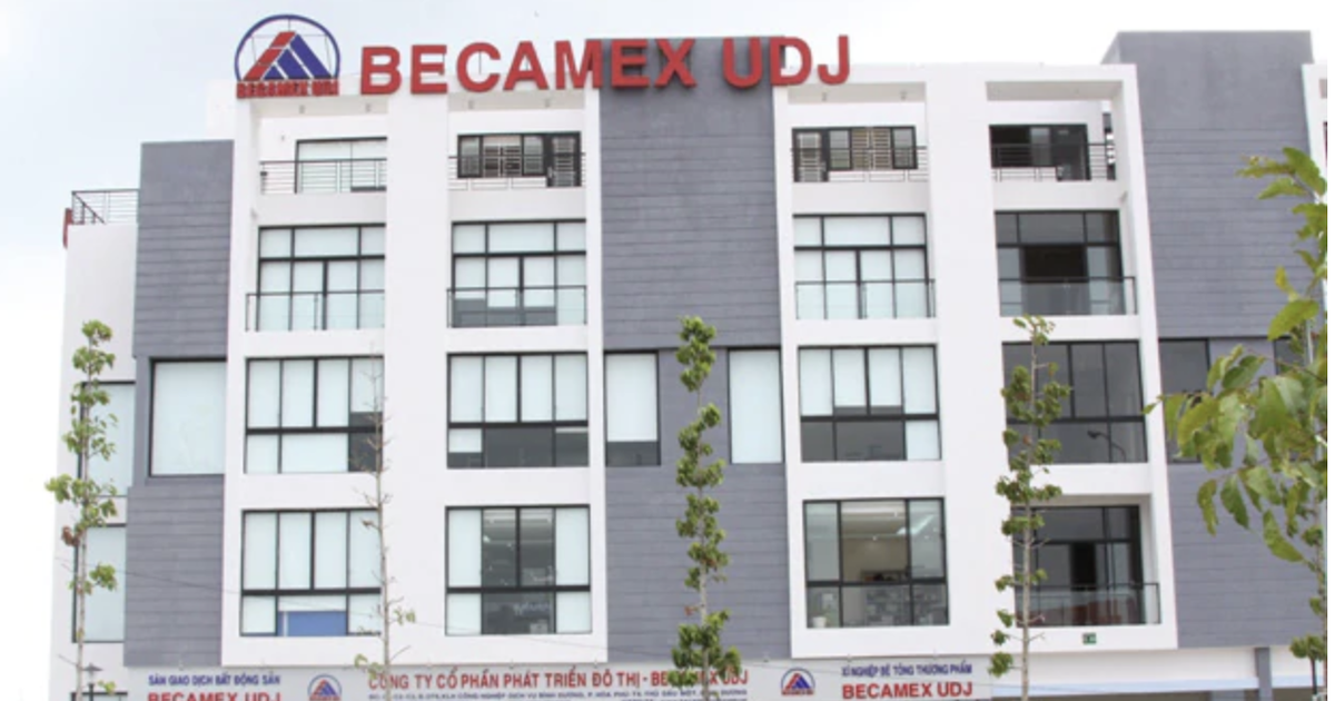 Một công ty bất động sản vốn trăm tỉ ở TP.HCM: 14 nhân sự, doanh thu vỏn vẹn 1 triệu đồng/tháng