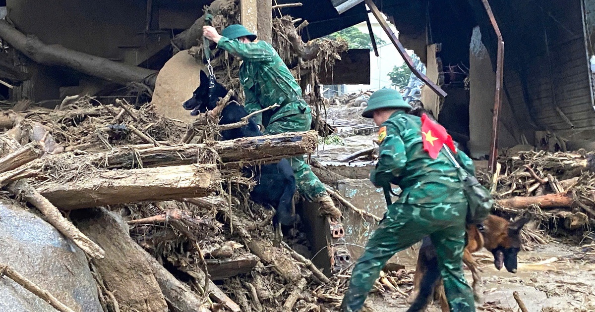 Lũ quét ở Lai Châu: Triển khai chó nghiệp vụ tìm kiếm 4 người mất tích