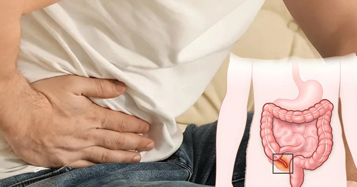 Ruột thừa có thật sự ‘thừa’?