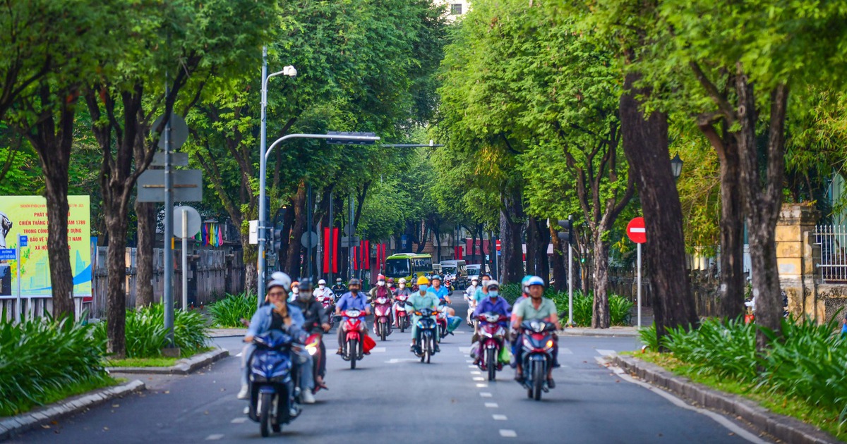 Chuyện nuôi nấng sinh viên của thành phố này