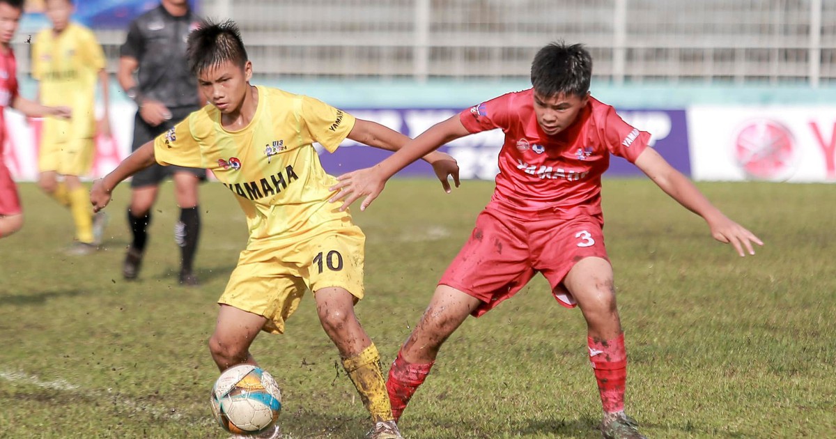 Hải Phòng sẵn sàng cho VCK Giải bóng đá U13 toàn quốc 2026