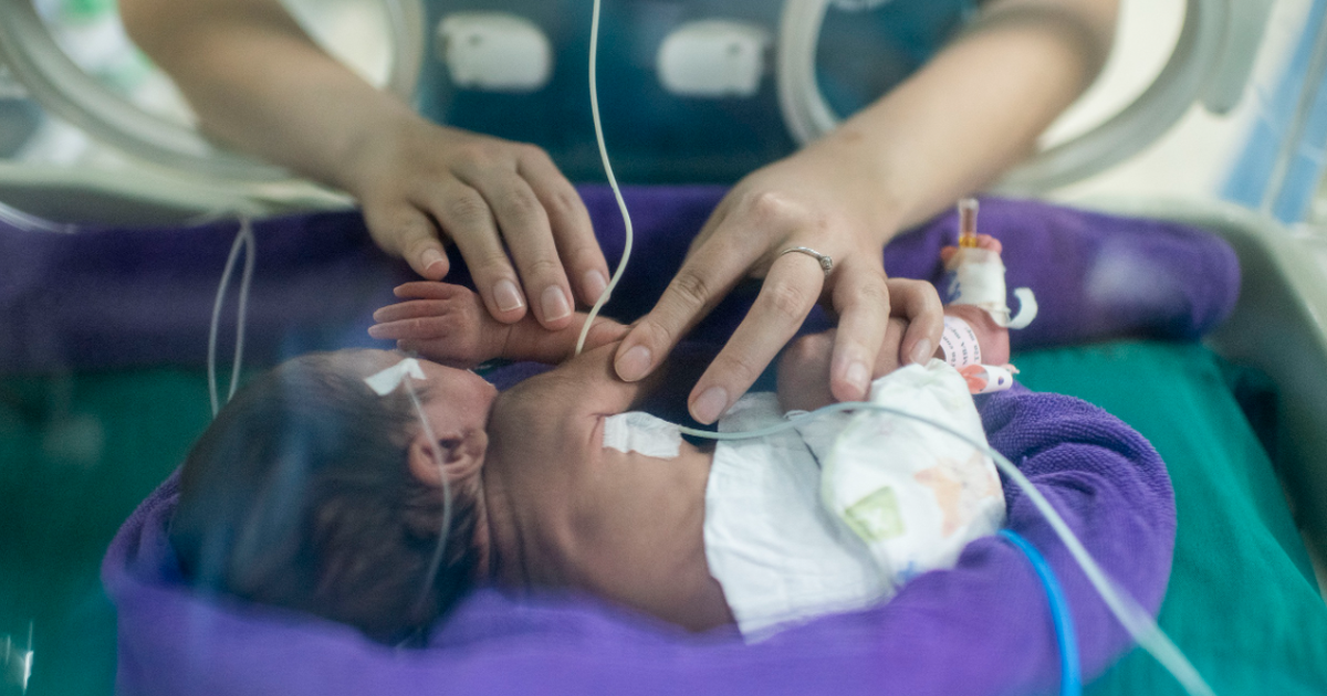 Úc phát triển nhau thai nhân tạo, mở ra hy vọng mới cho trẻ sinh non