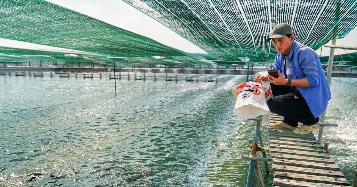 Bộ Nông nghiệp Hoa Kỳ sẽ tài trợ phát triển chuỗi cá rô phi Việt Nam