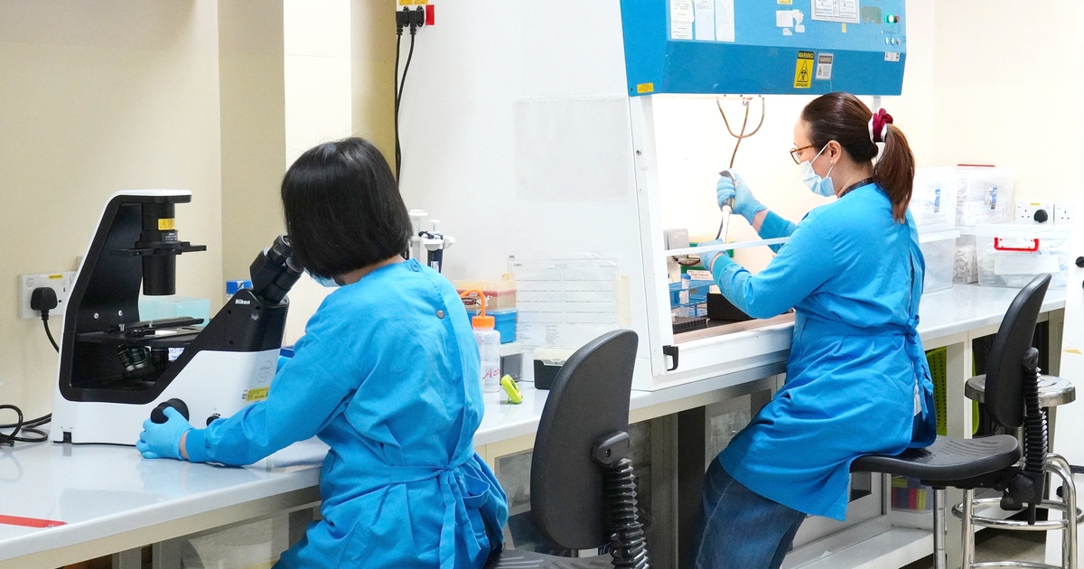Bên trong ‘thao trường' nghiên cứu bệnh truyền nhiễm tại OUCRU TP.HCM và Bệnh viện Bệnh nhiệt đới