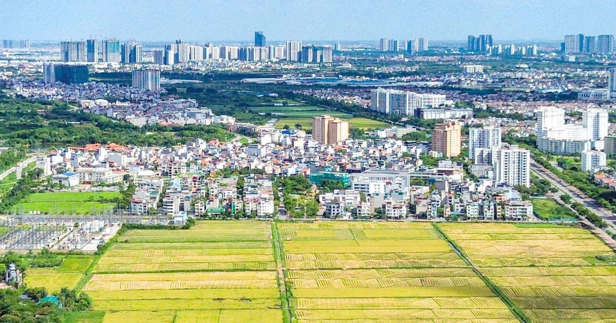 Đề xuất xử hình sự chiếm đất và hủy hoại đất: Cần thiết nhưng nên quy định rõ dấu hiệu cấu thành tội phạm