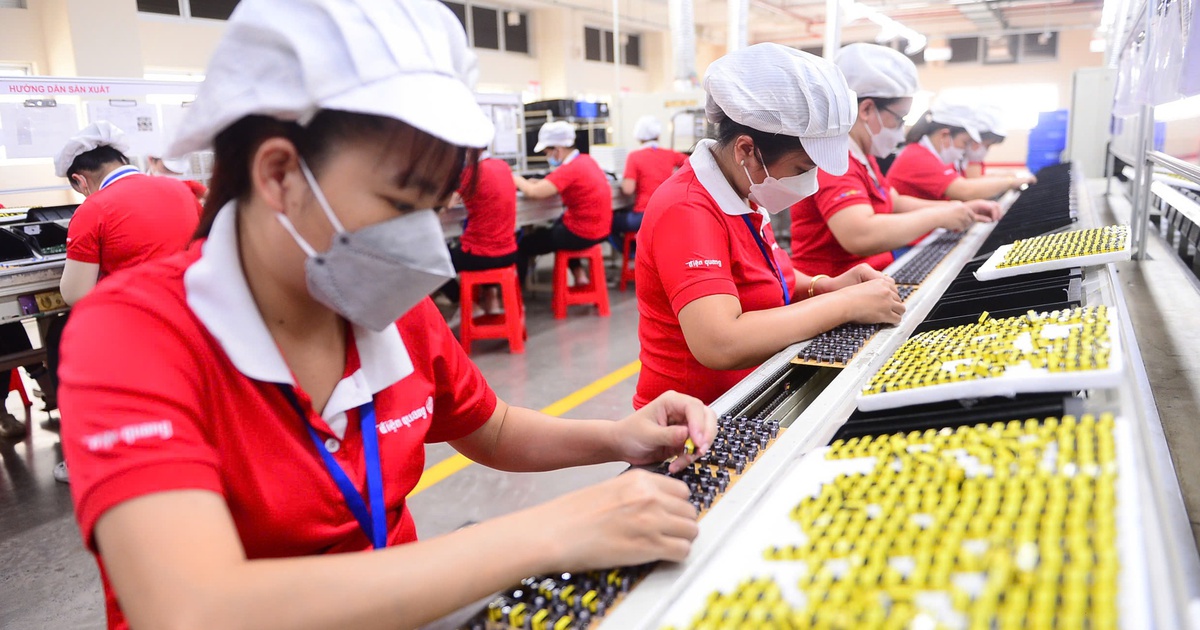 TP.HCM đề xuất gói hỗ trợ đến 200 tỉ đồng cho mỗi dự án công nghệ, AI và bán dẫn
