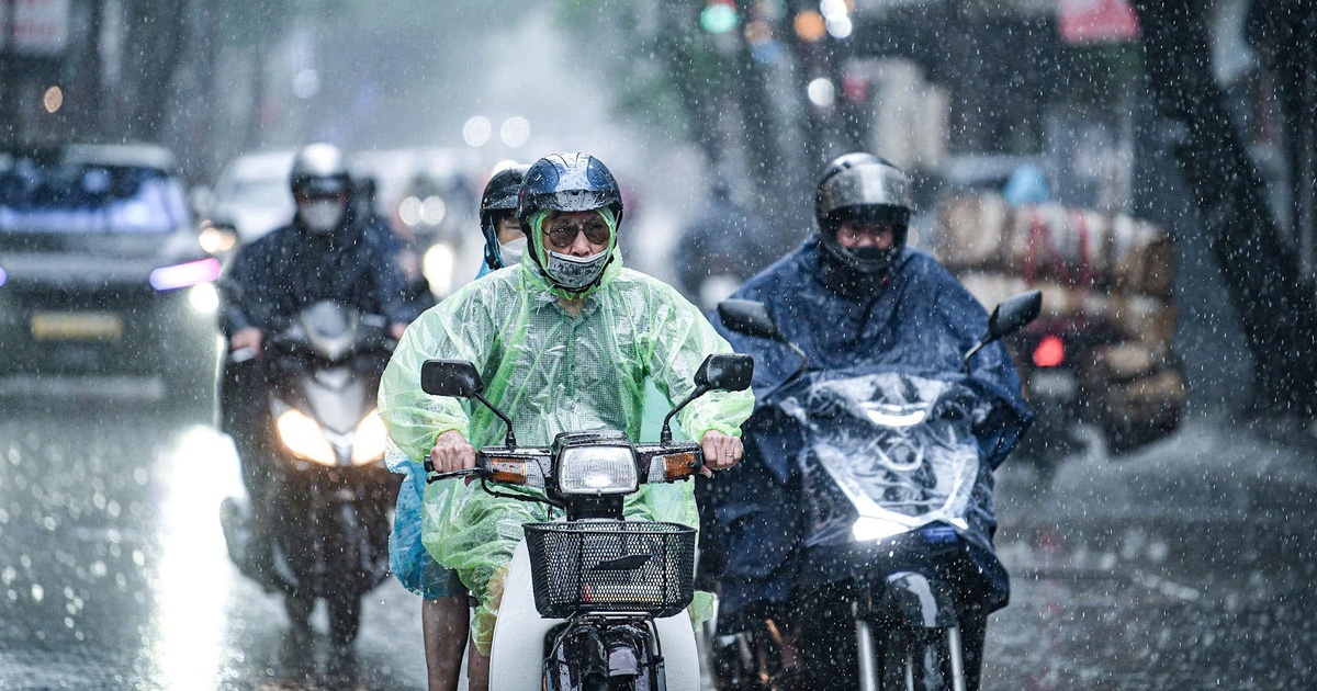 Thành phố có trí nhớ và tôi là một chi tiết nhỏ
