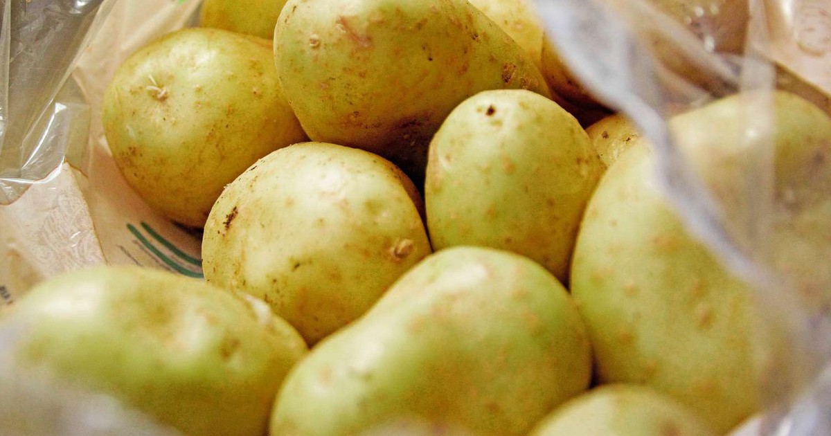 Vì sao không nên ăn khoai tây khi vỏ của chúng chuyển sang màu xanh?