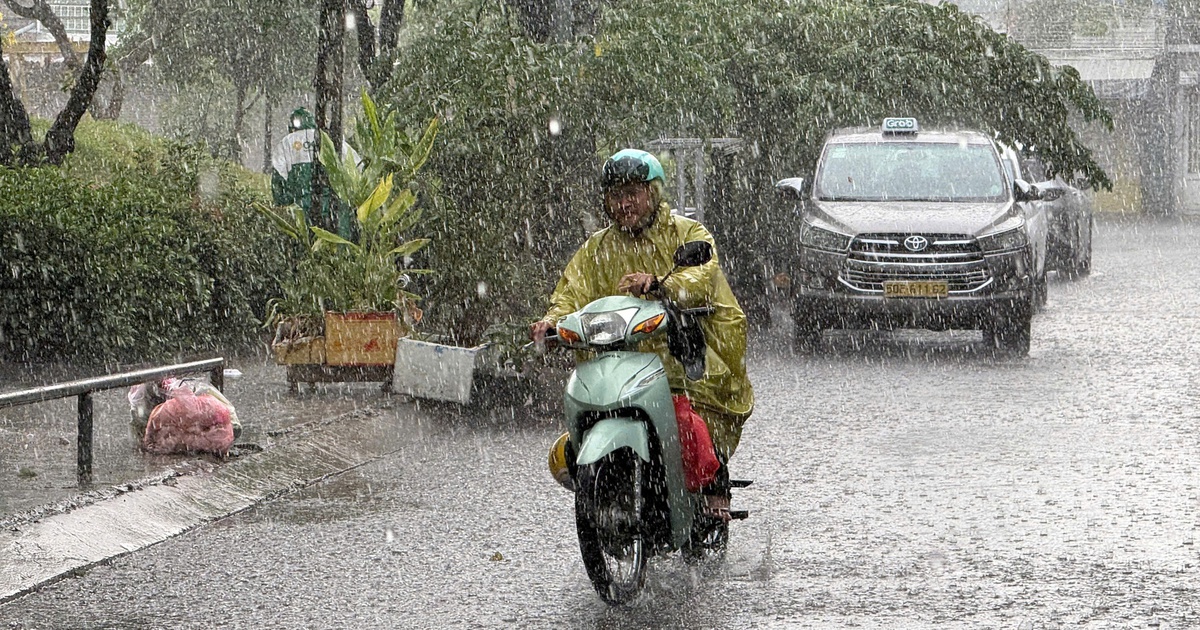 Từ 'lên thành phố' đến 'về thành phố'
